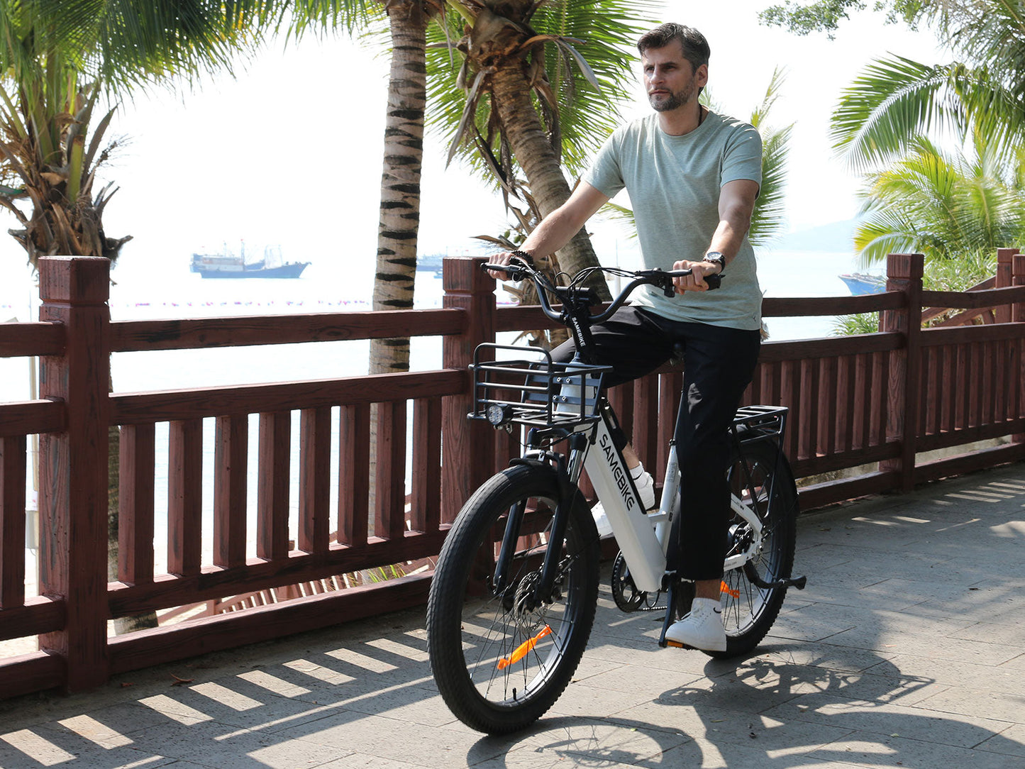SAMEBIKE RS-A01 Plus 750W Moteur Vélo électrique Urbain