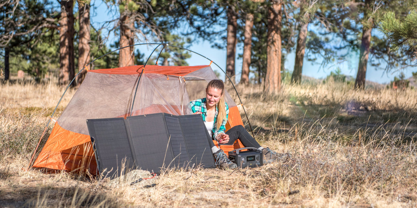 Panneau solaire portable ECOFLOW 110w pliable