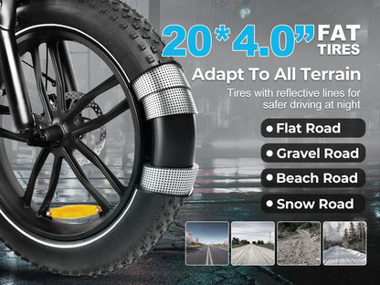 SAMEBIKE C05 Pro 500W Moteur Vélo électrique Pliant