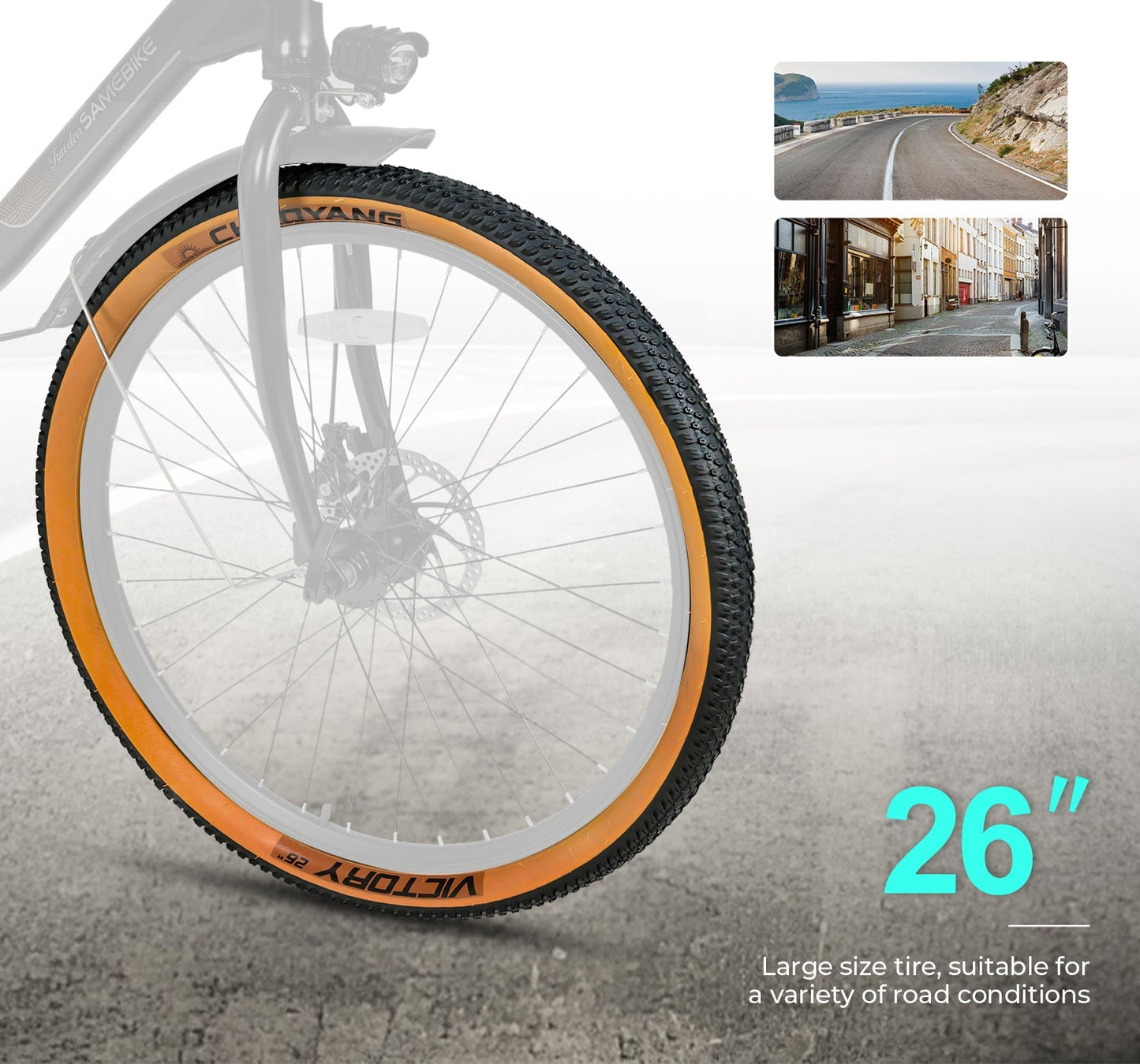SAMEBIKE TDE10Z 350W Moteur Vélo électrique urbain
