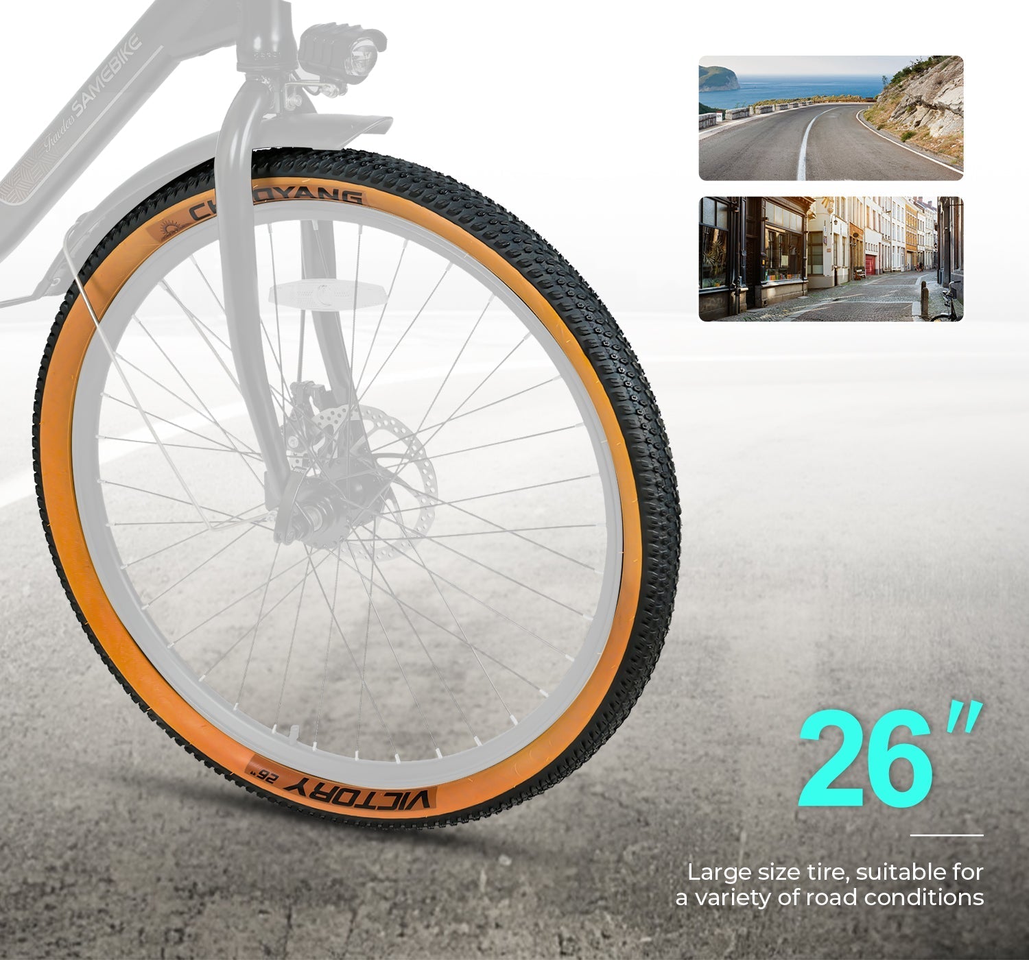 SAMEBIKE TDE10Z 350W Moteur Vélo électrique urbain