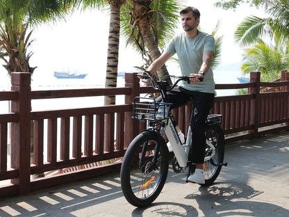 SAMEBIKE RS-A01 Plus 750W Moteur Vélo électrique Urbain
