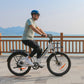 SAMEBIKE RS-A01 Plus 750W Moteur Vélo électrique Urbain