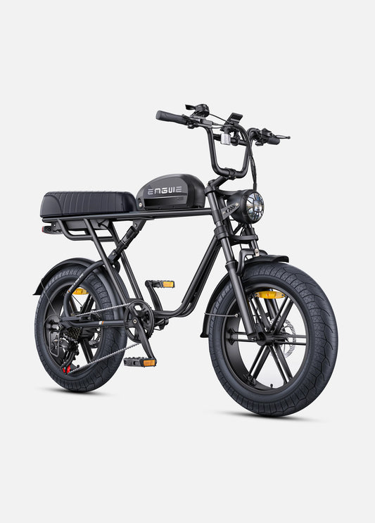 Engwe M1 250w vélo électrique biplace