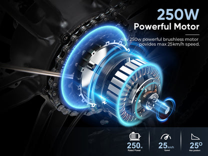 SAMEBIKE 20LVXD30-II Vélo électrique pliant