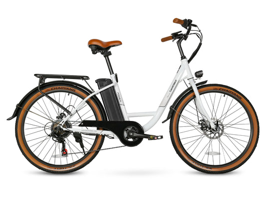 SAMEBIKE TDE10Z 350W Moteur Vélo électrique urbain