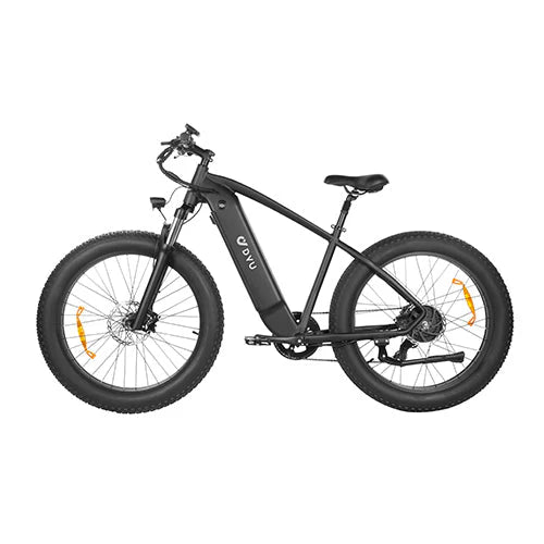 FAT BIKE électrique DYU King 750 w 26 pouces