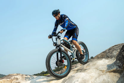 DUOTTS N26 Vélo électrique