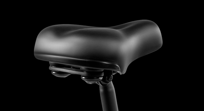 DYU D3F 14 Inch Mini Folding Electric Bike - Black