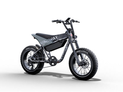 Himiway C5 | Vélo électrique haut de gamme de style cyclomoteur