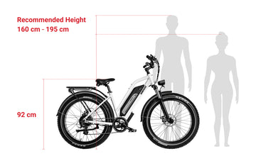 Himiway D3 (Cruiser) | Vélo Électrique Tout Terrain