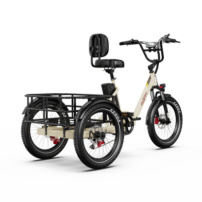 Onesport OT30 Pro Tricycle électrique