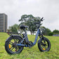 SAMEBIKE C05 Pro 500W Moteur Vélo électrique Pliant