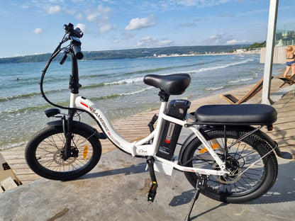 SAMEBIKE CY20 350W Moteur Vélo Électrique Portable