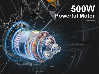 SAMEBIKE RS-A01 Pro-T 250W Moteur Vélo Électrique Urbain