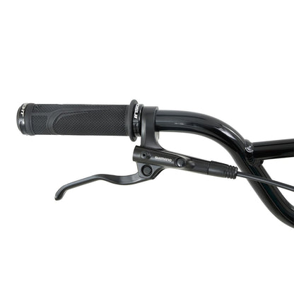 BMX Race Chase Edge 2027 Cruiser 24 pouces – fourche chromo – vue 3