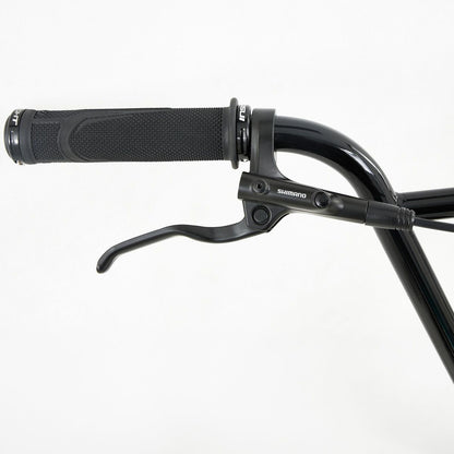 BMX Race Chase Edge 2027 Pro XL 20 pouces – fourche chromo – vue 3
