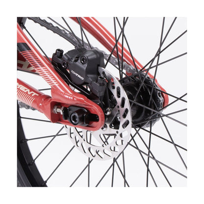 BMX CHASE ELEMENT EXPERT