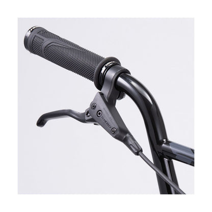 BMX CHASE ELEMENT PRO CRUISER