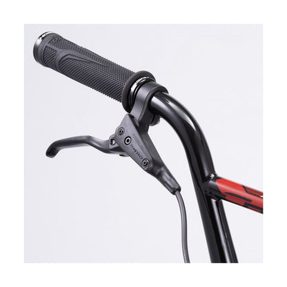 BMX CHASE ELEMENT PRO CRUISER +