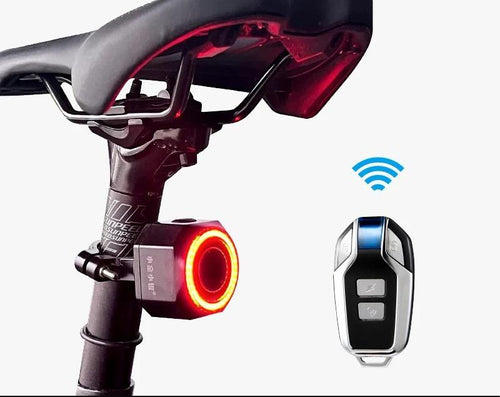 SAMEBIKE RS-A01 Pro-T 250W Moteur Vélo Électrique Urbain