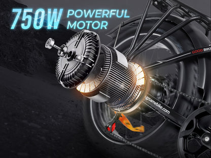 SAMEBIKE LOTDM200-II Pneus larges Vélo électrique pliable